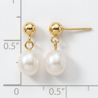 White freshwater pearl drop earrings on 14k yellow gold ball posts, on a white background with an inch scale.